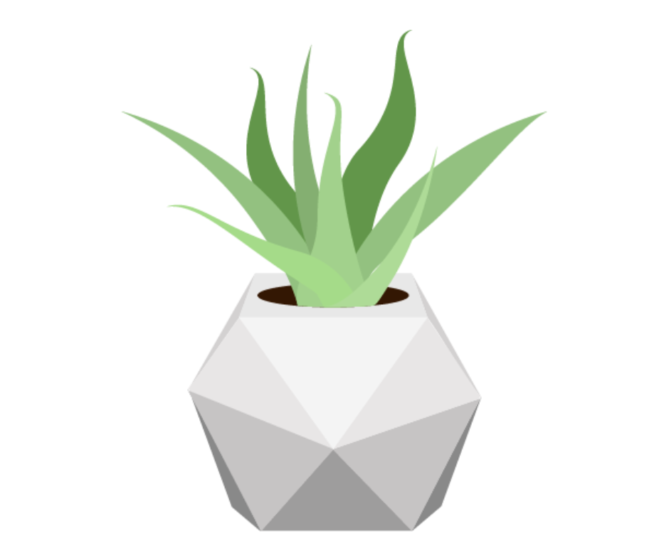Plant decoration